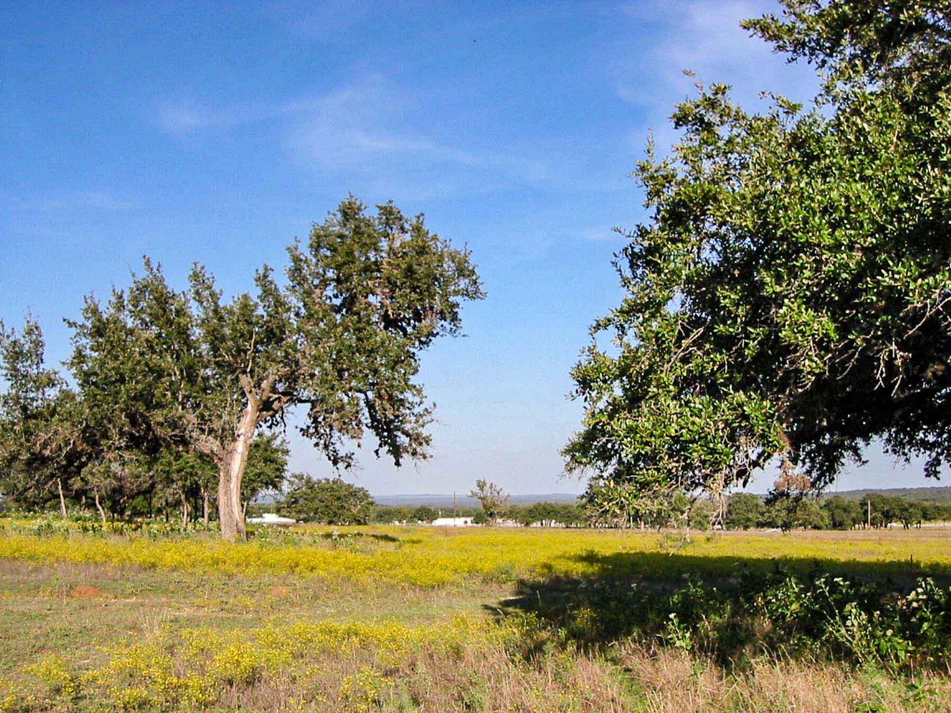 Blanco Vista Estates